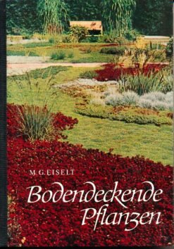 Bodendeckende Pflanzen