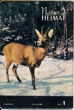 Natur und Heimat  Januar 1959  Heft 1