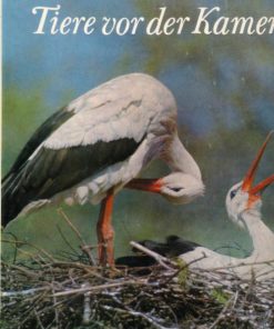 Tiere vor der Kamera
