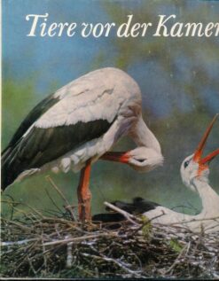 Tiere vor der Kamera