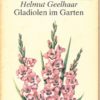 Gladiolen im Garten