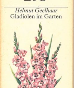 Gladiolen im Garten