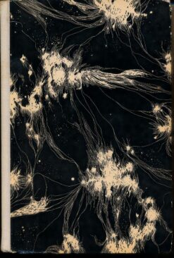 Der Mann aus dem anderen Jahrtausend