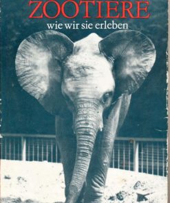 Woher der Mensch kam