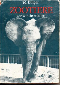 Woher der Mensch kam