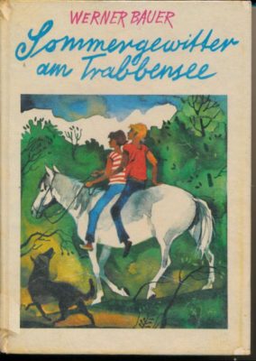 Sommergewitter am Trabbensee