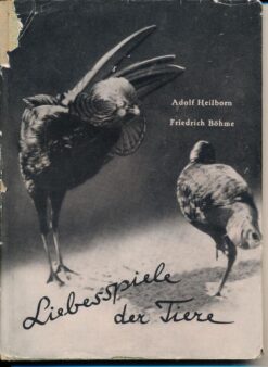 Liebesspiele der Tiere