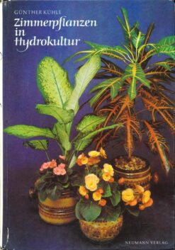 Zimmerpflanzen in Hydrokultur