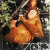 Zoo Dresden Wegweise Broschüre DDR