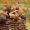 Guter Rat 1982 Heft 3 Ratgeberzeitschrift DDR