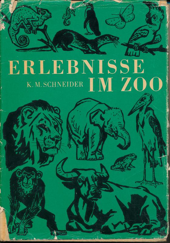 Erlebnisse im Zoo