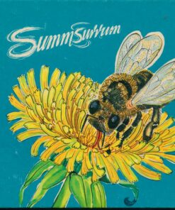 Summsurrum