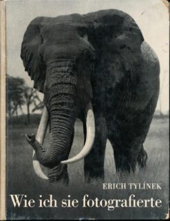 Wie ich sie fotografierte