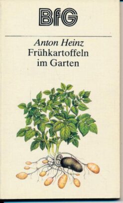Frühkartoffeln im Garten