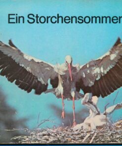 Ein Storchensommer