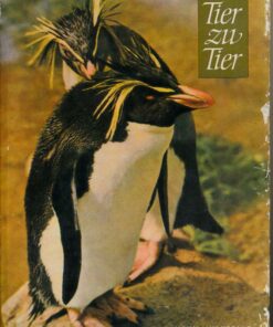 Tier zu Tier
