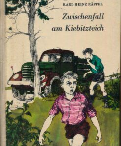 Zwischenfall am Kiebitzteich