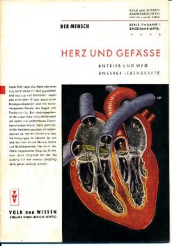 Herz und Gefässe