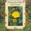 Pflanzen für Balkon und Terrasse