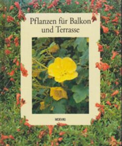 Pflanzen für Balkon und Terrasse