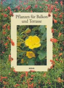 Pflanzen für Balkon und Terrasse