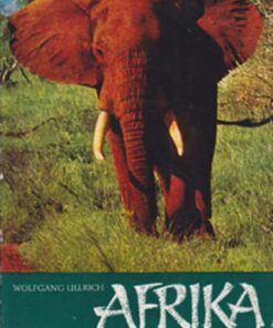 Afrika