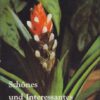 Schönes und Interessantes aus dem Pflanzenreich