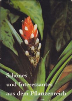Schönes und Interessantes aus dem Pflanzenreich