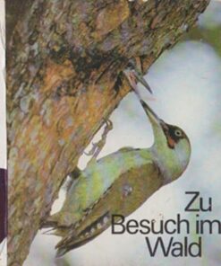 Zu Besuch im Wald