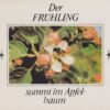 Der Frühling summt im Apfelbaum