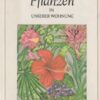 Pflanzen in unserer Wohnung