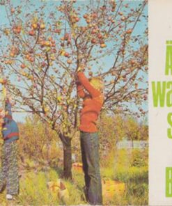 Die Ã„pfel wackeln schon am Baum