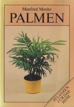 Palmen