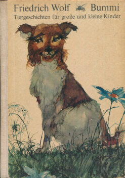 Bummi   DDR-Kinderbuch