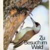 Zu Besuch im Wald Pappbilderbuch DDR