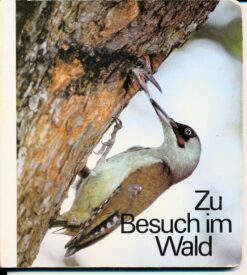 Zu Besuch im Wald Pappbilderbuch DDR