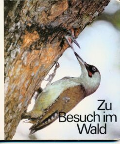 Zu Besuch im Wald Pappbilderbuch DDR