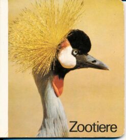 Zootiere Pappbilderbuch DDR