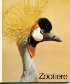 Zootiere Pappbilderbuch DDR