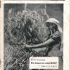 Des Bäckers kleiner Ratgeber Oktober 1934