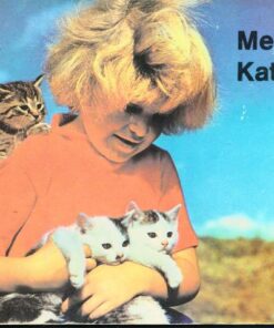 Meine Katzen