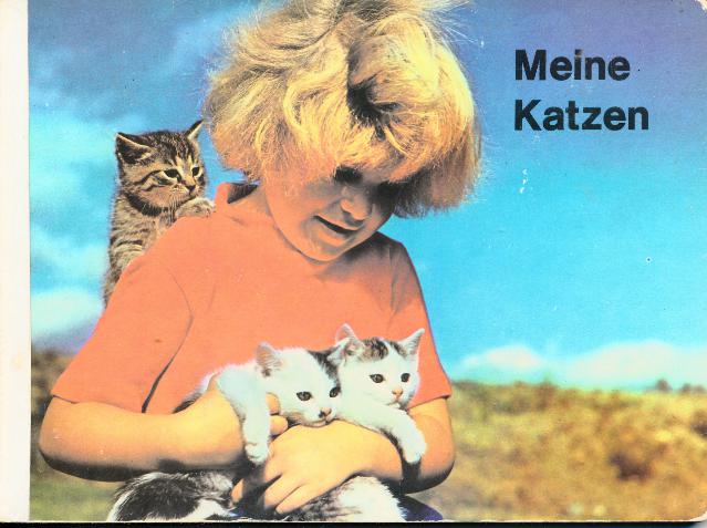 Meine Katzen
