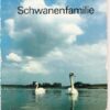 Schwanenfamilie Pappbilderbuch