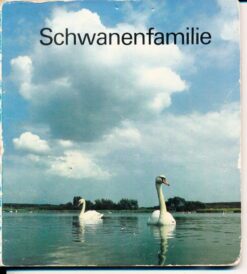 Schwanenfamilie Pappbilderbuch