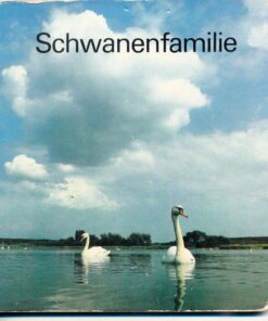 Schwanenfamilie Pappbilderbuch