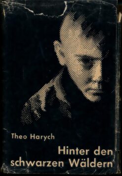 Hinter den schwarzen Wäldern