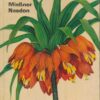 Gartenblumen
