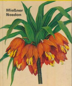 Gartenblumen
