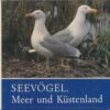 Seevögel Meer und Küstenland