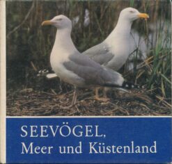 Seevögel Meer und Küstenland